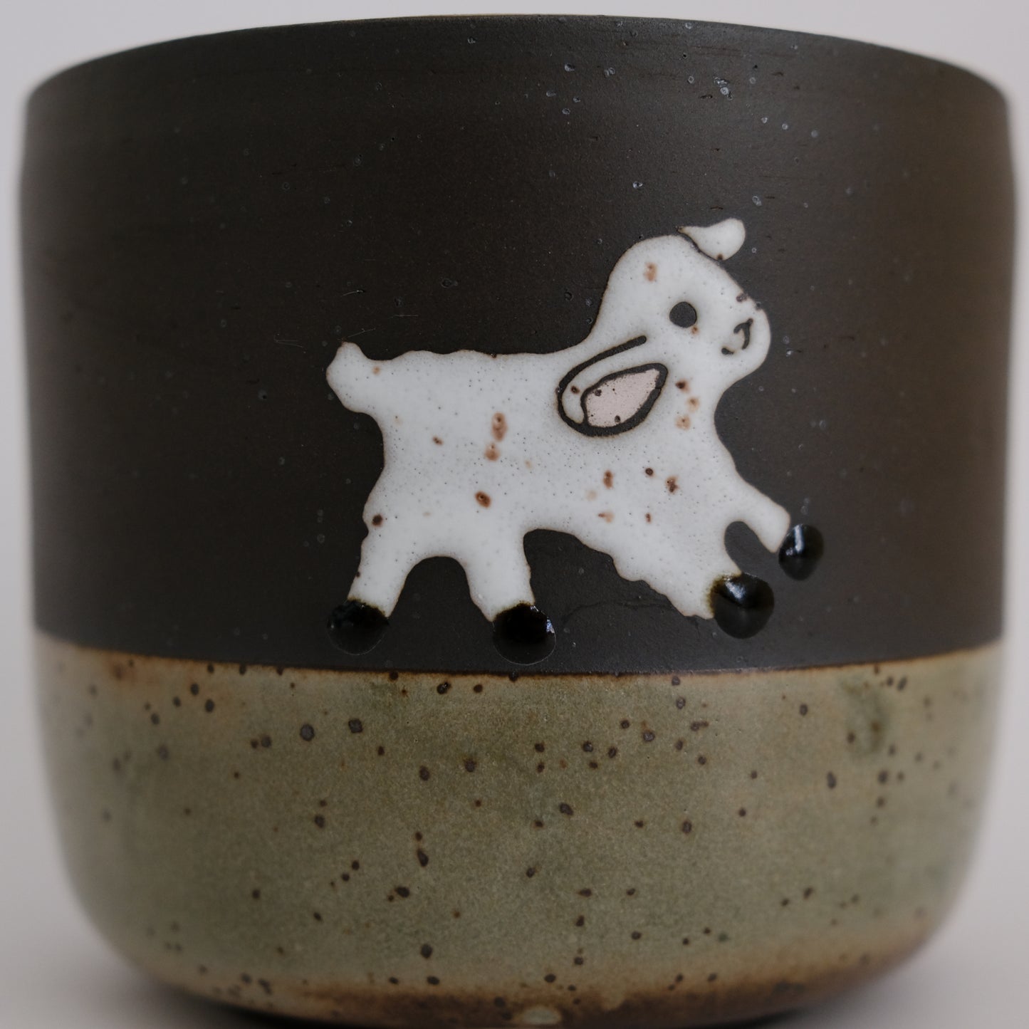 large lamb cup