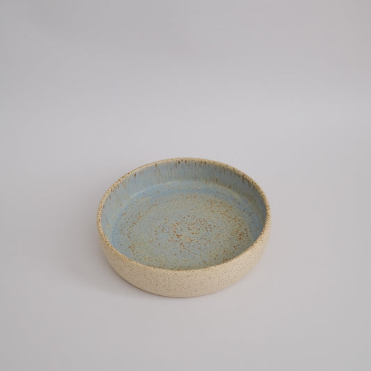 speckled plate